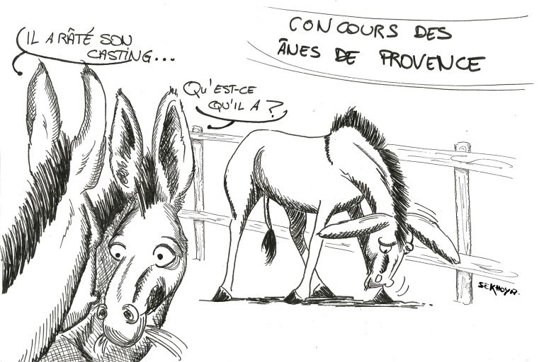 Dessin de presse sur un concours rural des ânes de Provence, stylo