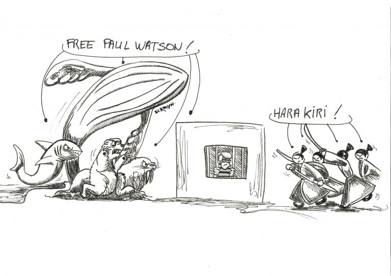 Dessin de presse sur la détention de Paul Watson, stylo