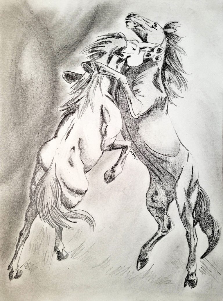 Chevaux, esquisse au crayon 