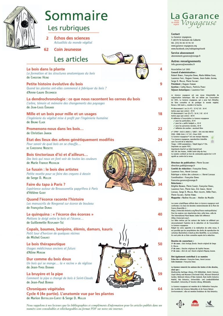 Illustrations au crayon pour le sommaire d’un numéro de la revue la Garance Voyageuse