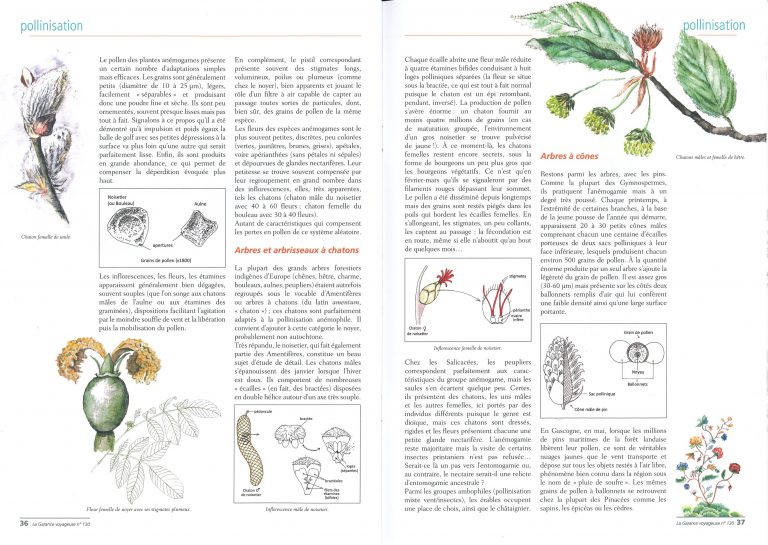 Schémas au trait pour une série d’articles pour la revue la Garance Voyageuse